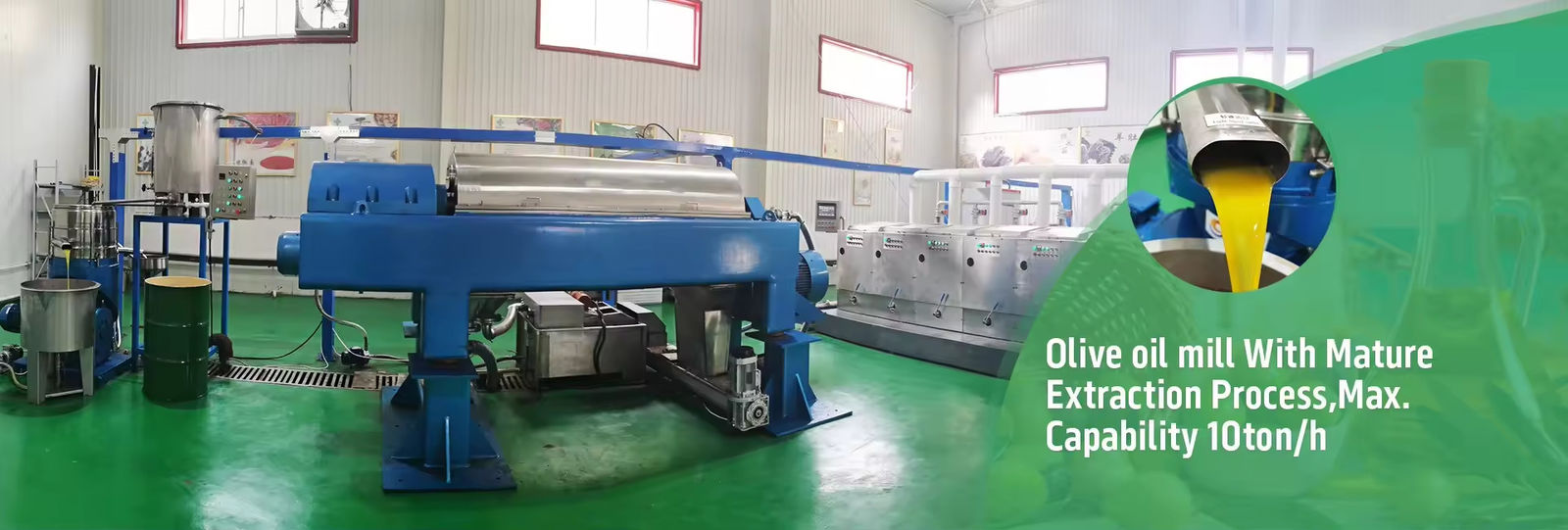 Linea di estrazione di olio di avocado