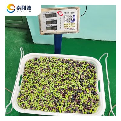 Potenza dell'impianto di produzione 22kw EVOO-250 Linea di estrazione dell'olio d'oliva per 3500 KG/h di produzione