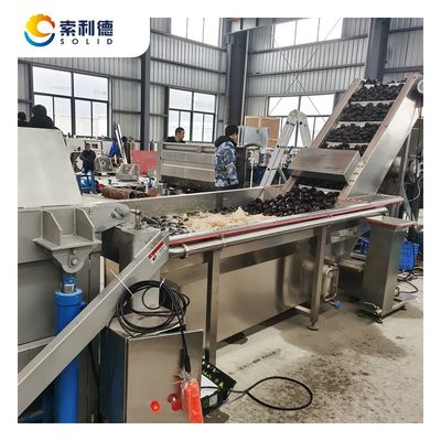 5-6T/H Centrifugation Extraction Avocado Oil Extraction Machine con rimozione dei semi e della buccia