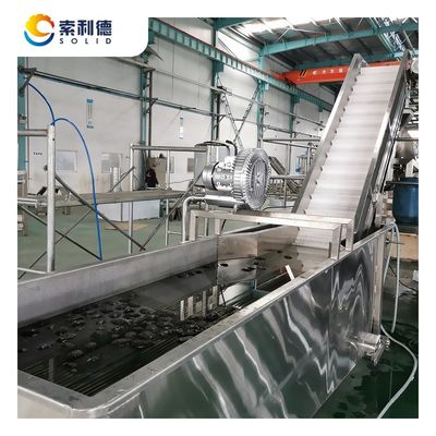 Spazio di copertura 24X6X6M 2T/H Cold Press Extra Virgin Avocado Oil Production Line CPAO-2000