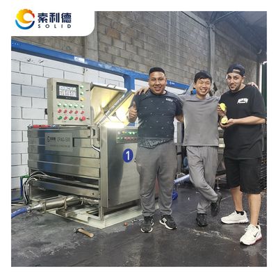 500 kg/h Linea di estrazione dell'olio di avocado pressato a freddo con macchina di estrazione a centrifuga