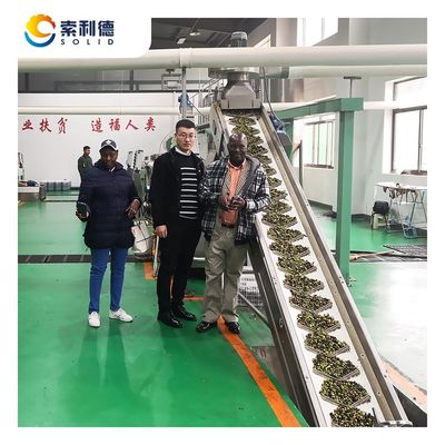 Migliora la tua linea di produzione di olio d'oliva con 24*4*6M Centrifugation Extraction Machine