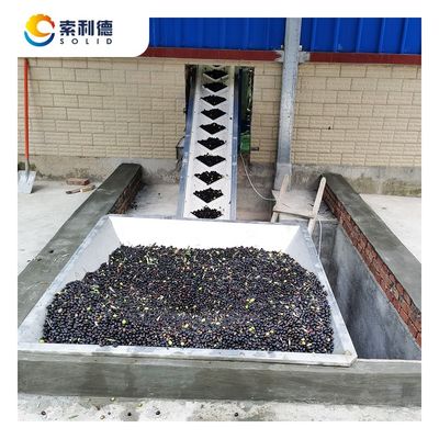 5T/H estrattore di olio d'oliva alimentato da 130kw Installazione e centrifuga decanter a 3 fasi