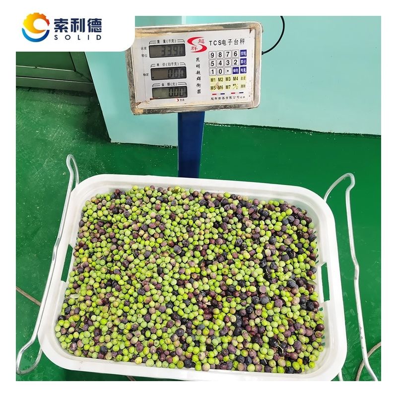 Potenza dell'impianto di produzione 22kw EVOO-250 Linea di estrazione dell'olio d'oliva per 3500 KG/h di produzione