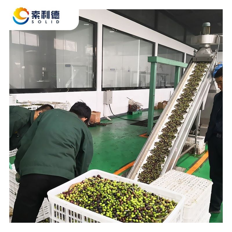 130kw di potenza EVOO-5000 5000KG/H impianto di trasformazione extra vergine di olio di oliva per olio