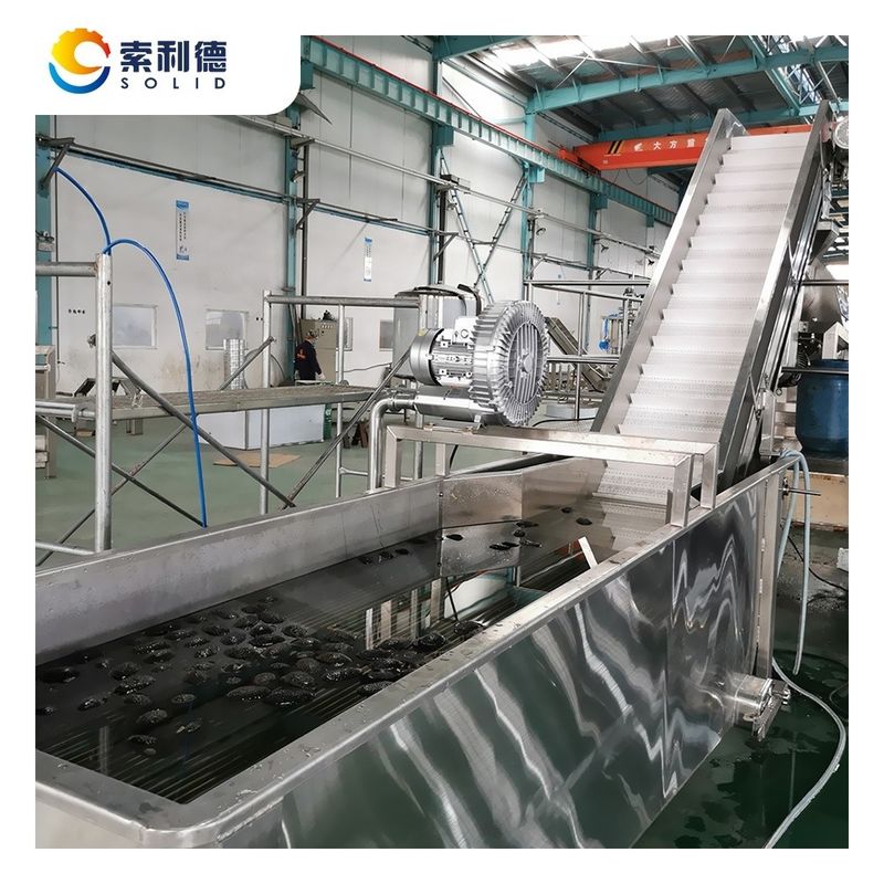Spazio di copertura 24X6X6M 2T/H Cold Press Extra Virgin Avocado Oil Production Line CPAO-2000